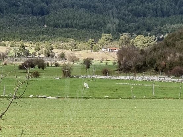 Muğla Fethiye Nif Mahallesinde Satılık Tarla - Görsel 6