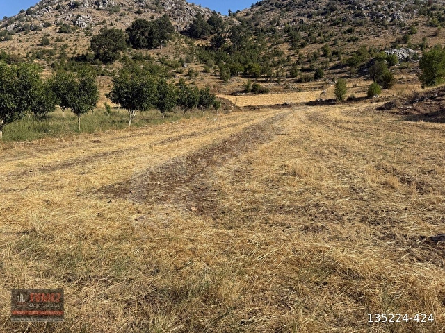 BURDUR-MERKEZ-SARIOVA KÖYÜNDE İMARLI SATILIK ARAZİ