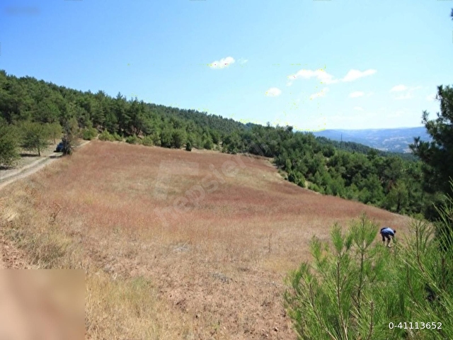 5600m2 TEKTAPU arsa spot