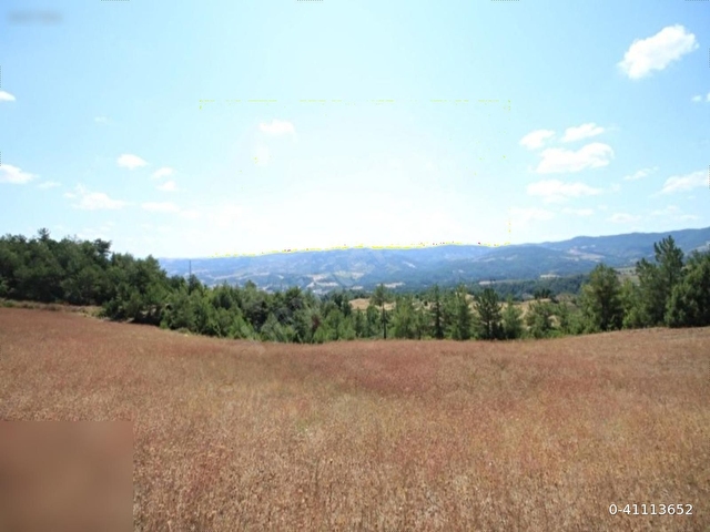 5600m2 TEKTAPU arsa spot - Görsel 6