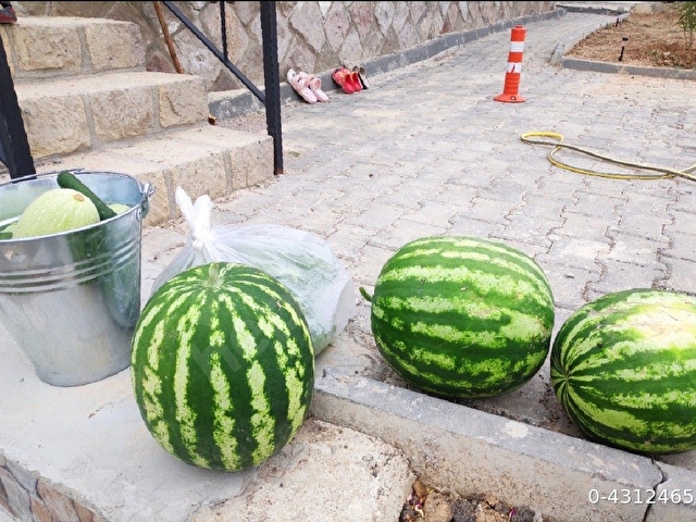 Güvenlikli Sitede 1+1 Taş Evli Bahçe - Görsel 23