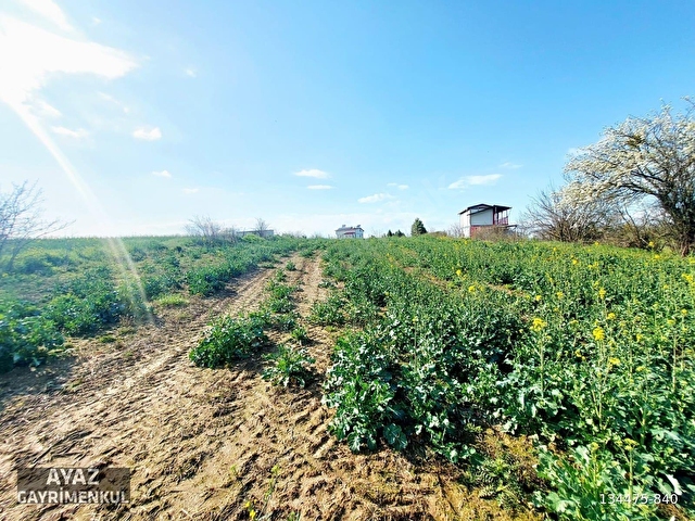 LÜLEBURGAZ KAYABEYLİDE KÖYE 882M MESAFEDE SATILIK 1600M2 BAĞ - Görsel 6