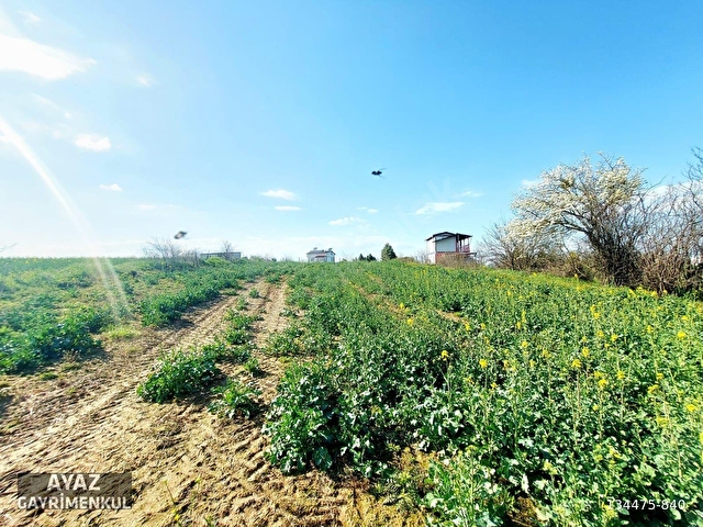 LÜLEBURGAZ KAYABEYLİDE KÖYE 882M MESAFEDE SATILIK 1600M2 BAĞ - Görsel 3