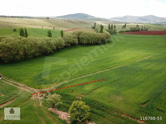 Kütahya Merkez Körste Yerleşime Yakın Satılık 6.5 Dönüm Tarla - Görsel 5