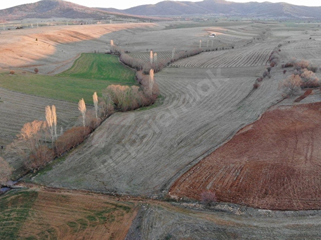 Kütahya Merkez Körste Yerleşime Yakın Satılık 6.5 Dönüm Tarla - Görsel 20