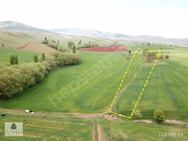 Kütahya Merkez Körste Yerleşime Yakın Satılık 6.5 Dönüm Tarla - Görsel 9