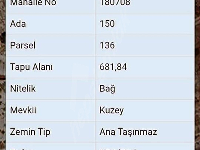 BENİMDE BAĞIM OLSUN DİYENLER İÇİN FIRSAT - Görsel 3