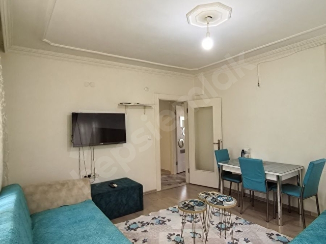 ERASTA AVM KARŞISI YENIDOĞAN BÖLGESİ KÜLTÜR - Görsel 2