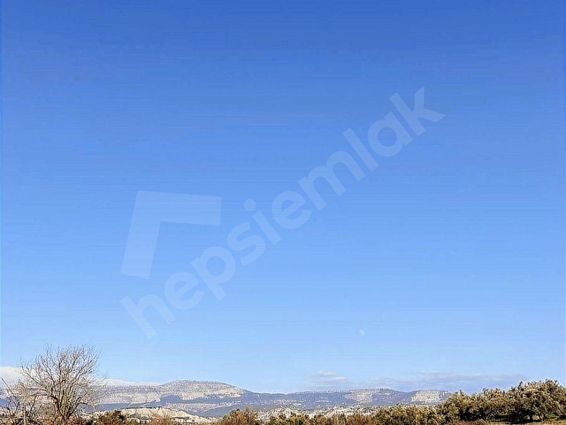 ELBEYLİ MAHALLESİ SATILIK ZEYTİN BAHÇESİ - Görsel 10