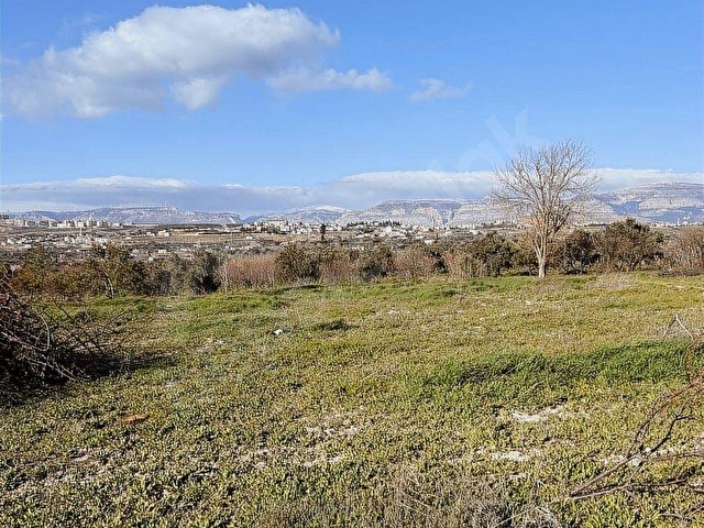 ELBEYLİ MAHALLESİ SATILIK ZEYTİN BAHÇESİ - Görsel 15