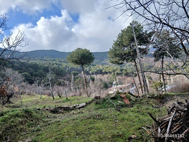 953 m² meyve bahçesi iki katlı müstakil ev - Görsel 4