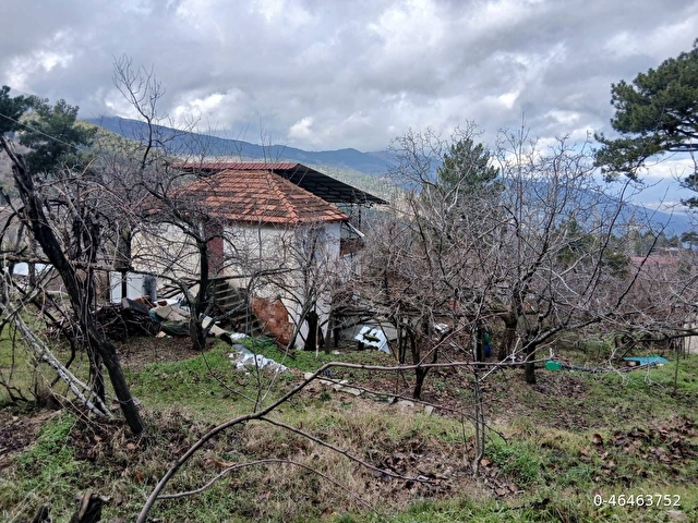953 m² meyve bahçesi iki katlı müstakil ev - Görsel 21