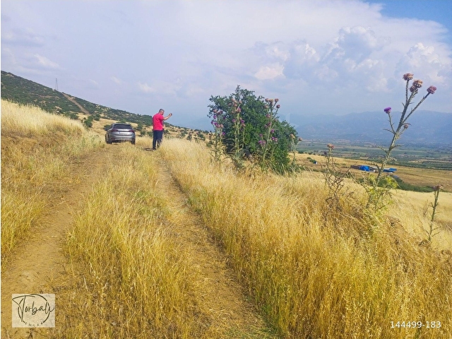 BU FİYATA ANCAK BURASI OLUR. TEK TAPU MÜSTAKİL PARSEL 13800m2 ARAZİMİZ SATILIKTIR