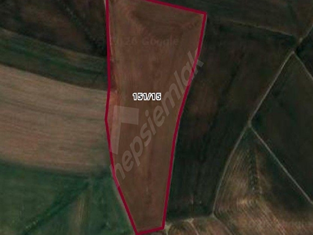Sincan Temelli Bacı 20.394 m2 Körkütük mevkinde Satılik Tarla