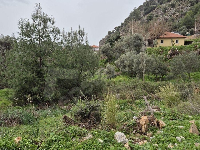 Muğla/Ortaca/Dalyan/Gökbel Satılık 12 parsel Arazi - Görsel 4
