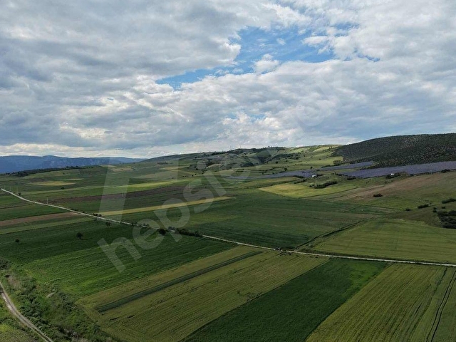 VEZİREV EMLAK tan AKÖREN MAH. 5000 m2 SATILIK TARLA - Görsel 4