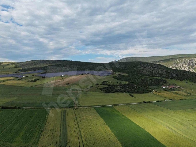 VEZİREV EMLAK tan AKÖREN MAH. 5000 m2 SATILIK TARLA - Görsel 5