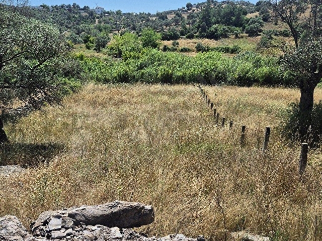 MUMCULAR YENIKÖYDE SATILIK BAHCE - Görsel 14