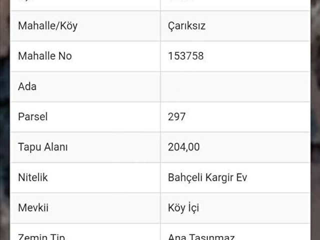 EZİNE ÇARIKSIZ KÖYÜNDE  SATILIK TAŞ EV - Görsel 10