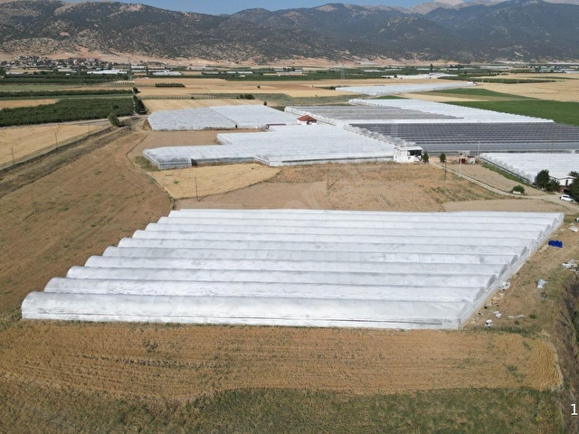 BALOĞLU GAYRİMENKULDEN BAYRALAR MH.6.000m²BAKIMLI SATILIK SERA - Görsel 6