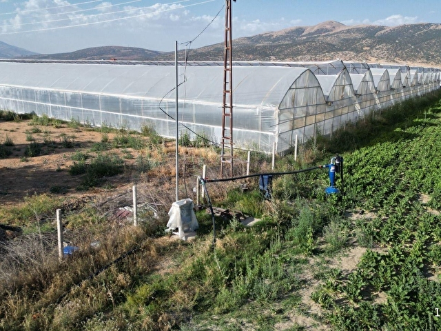 BALOĞLU GAYRİMENKULDEN BAYRALAR MH.6.000m²BAKIMLI SATILIK SERA - Görsel 19