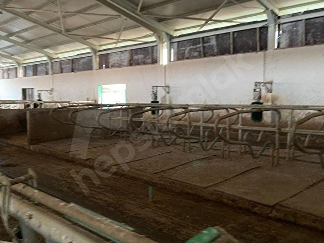 SATILIK ÇİFTLİK 57.654m2 ÜZERİNDE HAZIR KURULU KONUMDA ŞEREFLİKOÇHİSAR AKARCA MAHALLESİ - Görsel 17