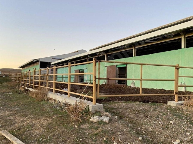 Şereflikoçhisar Akarca Satılık