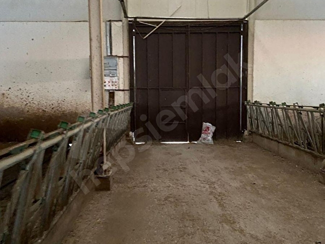 SATILIK ÇİFTLİK 57.654m2 ÜZERİNDE HAZIR KURULU KONUMDA ŞEREFLİKOÇHİSAR AKARCA MAHALLESİ - Görsel 25