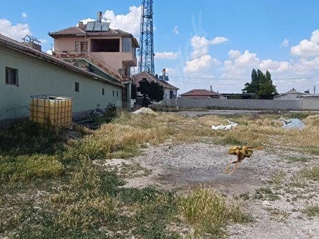 YATIRIMA UYGUN EREĞLİNİNİN EN GÜZEL YERİNDE SATILIK ÇİFTLİK - Görsel 10