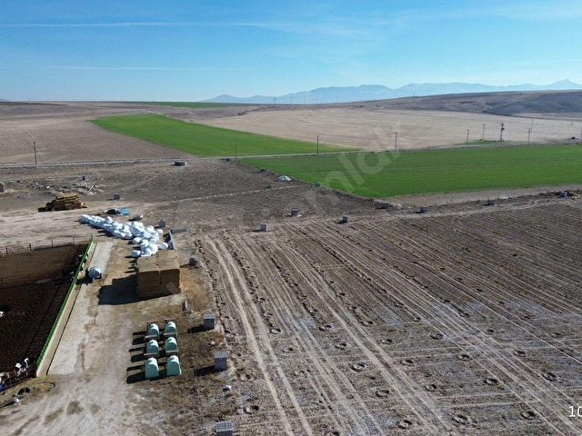 KONYA / EMİRGAZİ / IŞIKLAR 563 m² KONUT İMARLI ARSA - Görsel 6
