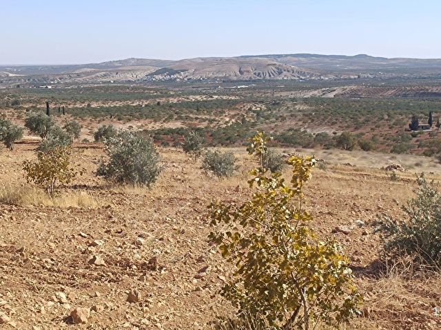 LİMANDAN FIRSAT ARAZİ - Görsel 27