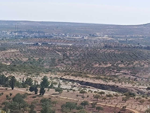 LİMANDAN FIRSAT ARAZİ - Görsel 15