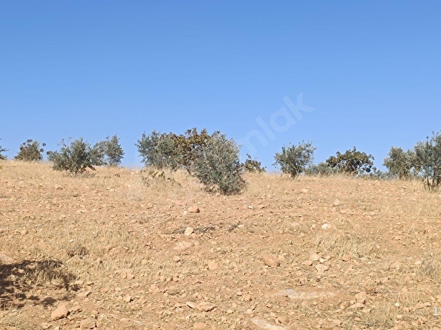 LİMANDAN FIRSAT ARAZİ - Görsel 3