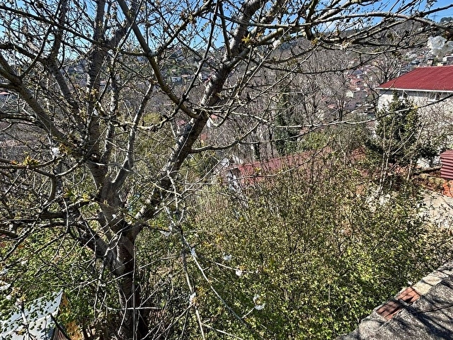 ADA EMLAKTAN BEYKOZDA ÜZERİNDE YAPI OLAN FIRSAT ARAZİ - Görsel 7