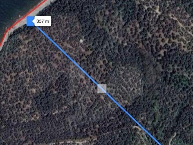 CİHAN EMLAK - SATILIK EDİNCİKTE DENİZE 357M, YOLA 18M CEPHELİ, TEK(MÜSTAKİL) TAPULU 550M2 ZEYTİNLİK - Görsel 4