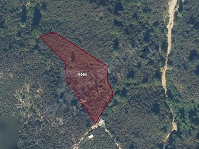 AKÇAKOCA YEŞİLKÖY KÖYÜ 10074 M2 BAKIMLI FINDIK BAHÇESİ - Görsel 24