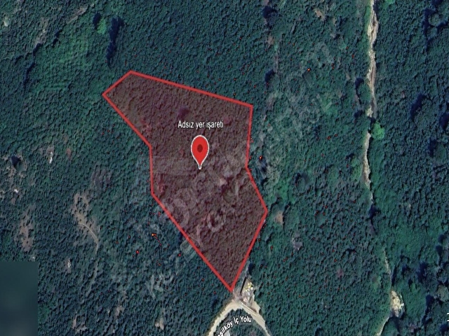 AKÇAKOCA YEŞİLKÖY KÖYÜ 10074 M2 BAKIMLI FINDIK BAHÇESİ - Görsel 25