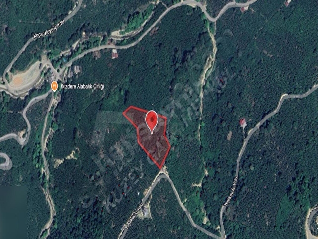 AKÇAKOCA YEŞİLKÖY KÖYÜ 10074 M2 BAKIMLI FINDIK BAHÇESİ - Görsel 28