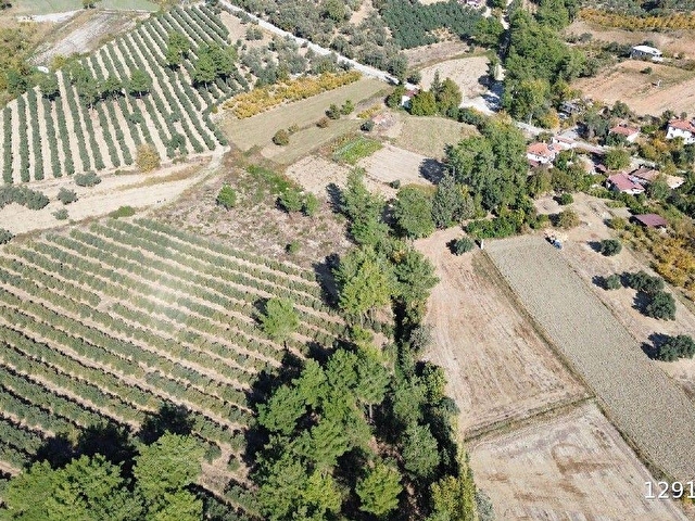 SAHİL CEYLANDA MÜSTAKİL TAPULU 19.260M2. TARLA VASIFLI - Görsel 8