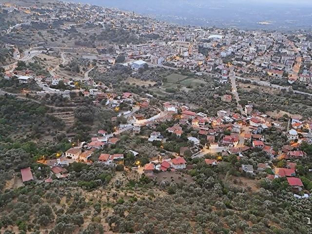 Aydın Bozdoğan Cumhuriyet Mahde Satılık 12.718 m2 Zeytinlik - Görsel 21