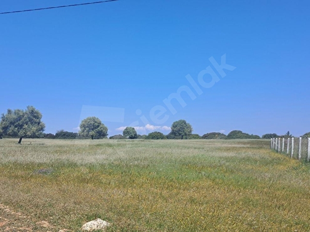 Didim Toki Karşısı 300 m2 Elektrik Mevcut Satılık Villa Arsası - Görsel 8