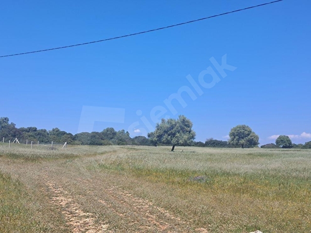 Didim Toki Karşısı 300 m2 Elektrik Mevcut Satılık Villa Arsası - Görsel 7