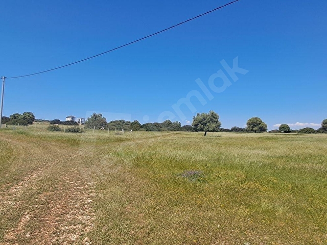 Didim Toki Karşısı 300 m2 Elektrik Mevcut Satılık Villa Arsası - Görsel 2
