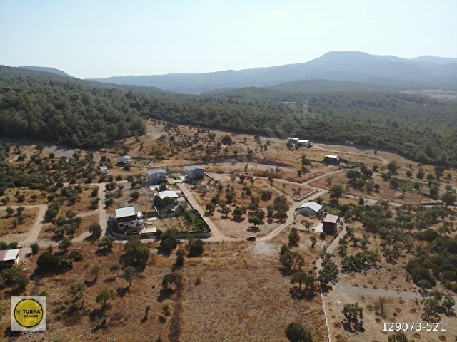 ÇAKALTEPE/ELEKTRİK-SU AKTİF/543 m2-TAPUDAN SATIŞLI ZEYTİNL BAHÇE - Görsel 15