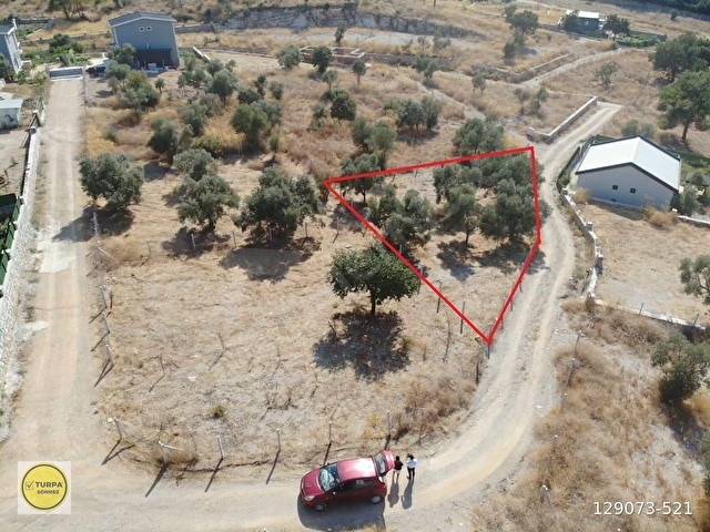 ÇAKALTEPE/ELEKTRİK-SU AKTİF/543 m2-TAPUDAN SATIŞLI ZEYTİNL BAHÇE - Görsel 17
