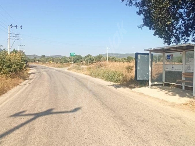 ÇAKALTEPE/ELEKTRİK-SU AKTİF/543 m2-TAPUDAN SATIŞLI ZEYTİNL BAHÇE - Görsel 23