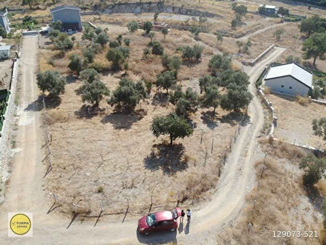 ÇAKALTEPE/ELEKTRİK-SU AKTİF/543 m2-TAPUDAN SATIŞLI ZEYTİNL BAHÇE - Görsel 18