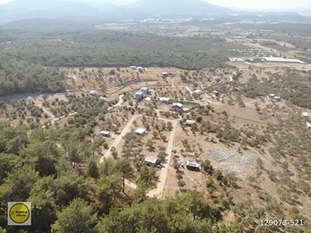 ÇAKALTEPE/ELEKTRİK-SU AKTİF/543 m2-TAPUDAN SATIŞLI ZEYTİNL BAHÇE - Görsel 30