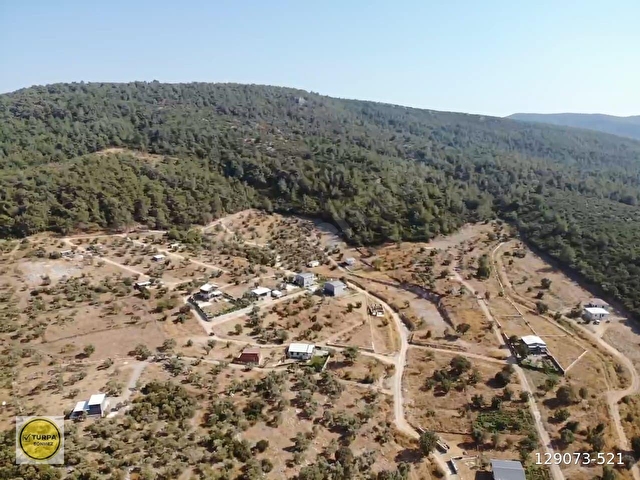 ÇAKALTEPE/ELEKTRİK-SU AKTİF/543 m2-TAPUDAN SATIŞLI ZEYTİNL BAHÇE - Görsel 11
