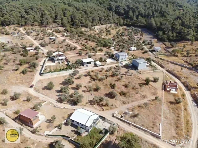 ÇAKALTEPE/ELEKTRİK-SU AKTİF/543 m2-TAPUDAN SATIŞLI ZEYTİNL BAHÇE - Görsel 4
